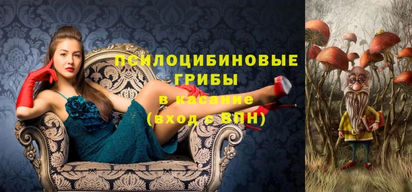 Альфа ПВП Лабытнанги