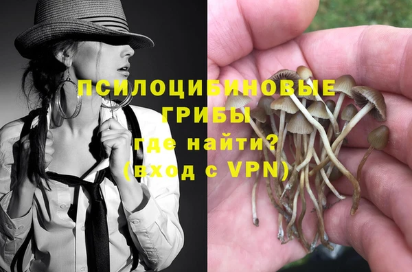 молекула духа Коряжма