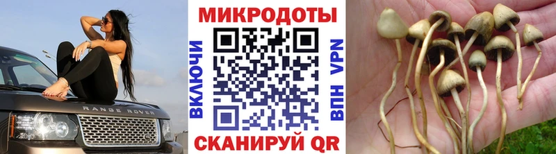 Псилоцибиновые грибы Magic Shrooms  Называевск 
